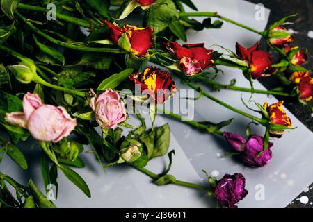 Ausrangierte Bouquet von dekorativen Rosen, getrocknete Blumen Stockfoto