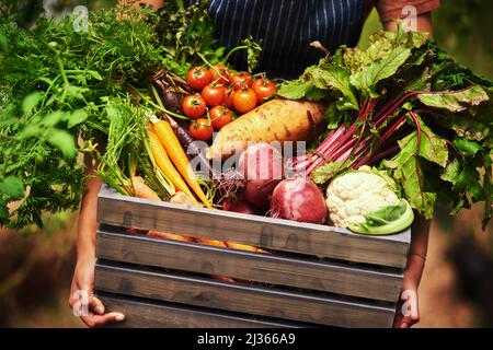 Frisch von der Natur angebaut. Eine ausgeschnittene Aufnahme einer nicht erkennbaren Bäuerin, die auf ihrem Hof eine Kiste voller frischer Produkte in der Hand hält. Stockfoto