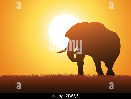Silhouettendarstellung eines Elefanten vor Sonnenuntergang Stock Vektor