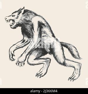 Skizzendarstellung eines Werwolfs Stock Vektor