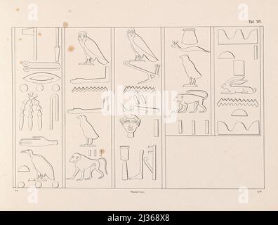 Hieroglyphen im Deir el-Bahari Tempel aus dem Buch "die Flotte einer ägyptischen Königin" aus dem XVII. Jahrhundert vor unserer Ära und alten ägyptischen Militär auf Parade : Dargestellt auf einem Denkmal des gleichen Alters, beide in einigen Teilen restauriert und zum ersten Mal vom Autor nach einer Kopie aus der Terrasse-Tempel von Dêr-el-Baheri veröffentlicht : Mit einem Anhang, der die Fische des Roten Meeres in der ursprünglichen Größe des Denkmals als Ornamente unter der Flotte enthält, einer chronologisch angeordneten Anzahl von Darstellungen altägyptischer Schiffe und einigen Darstellungen und Inschriften fr Stockfoto