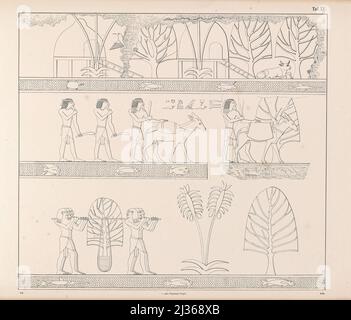 Alte ägyptische Landschaft aus dem Buch "die Flotte einer ägyptischen Königin" aus dem XVII. Jahrhundert vor unserer Ära und alten ägyptischen Militär auf Parade: Dargestellt auf einem Denkmal des gleichen Alters, beide in einigen Teilen restauriert und zum ersten Mal vom Autor nach einer Kopie aus der Terrasse-Tempel von Dêr-el-Baheri veröffentlicht : Mit einem Anhang, der die Fische des Roten Meeres in der ursprünglichen Größe des Denkmals als Ornamente unter der Flotte enthält, einer chronologisch angeordneten Anzahl von Darstellungen altägyptischer Schiffe und einigen Darstellungen und Inschriften verschiedener Zeitungstemperaturen Stockfoto