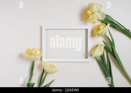 Weißer Bilderrahmen aus Holz, eingerahmt von gelben Tulpenblüten auf einem hellen Tisch. Flach legen, Karte Stockfoto