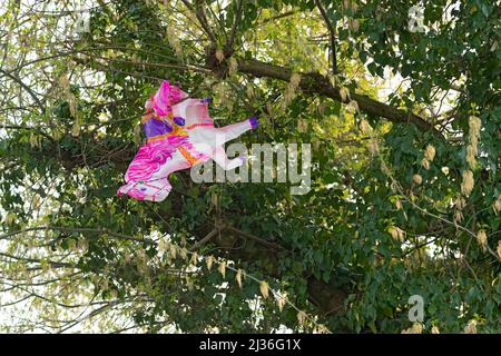 Italien, Lombardei, Ballon geformt wie Pferd in Ästen von Baum gefangen Stockfoto