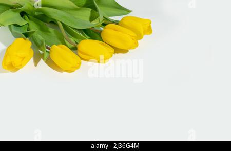 Blumenstrauß aus gelben Tulpen auf weißem Hintergrund, Kopierraum, Draufsicht. Geschenk für Mama. Frühlingsblumen. Sonnige Blumen. Stockfoto