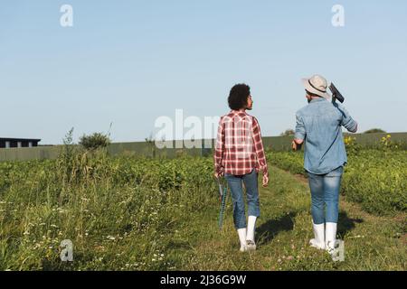 Rückansicht multiethnischer Bauern, die mit Rechen und Schaufel auf dem Feld laufen Stockfoto