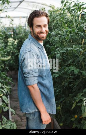 Junger Bauer im Denim-Hemd lächelt im Gewächshaus vor der Kamera Stockfoto