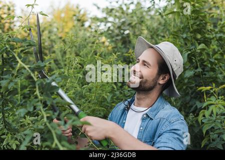 Positiver Gärtner im Hutkrempe, der grüne Büsche mit einer Schere beschnitt Stockfoto