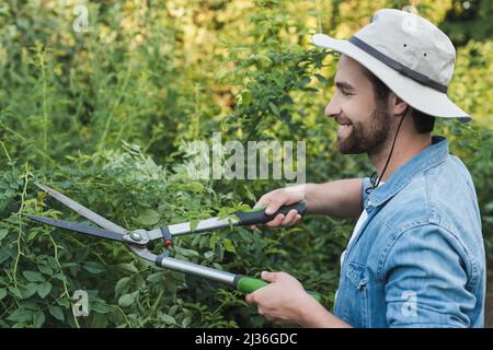 Lächelnder Gärtner im Hut trimmt Pflanzen mit Gartenscheren Stockfoto