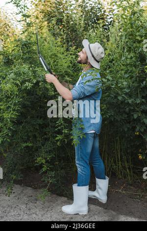 In voller Länge Ansicht des Gärtners in Krempe Hut und Gummistiefel Schneiden Büsche mit Beschneiter Stockfoto