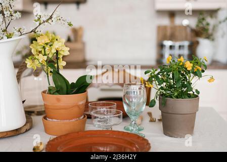 Frühlingsdekor eines gemütlichen Hauses. Blumen in Tontöpfen. Serviert Osterfrühstück oder Mittagessen auf dem Tisch in der Küche Stockfoto