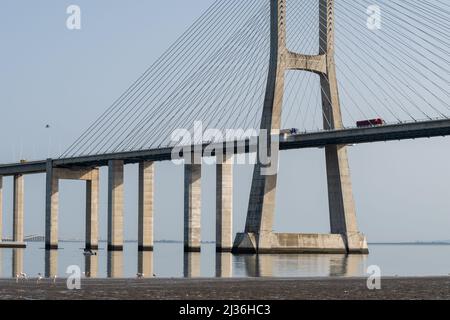 Ein Blick auf die Vasco da Gama Brücke, die sich im Wasser spiegelt. Stockfoto