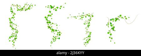 Efeu Ecken, Kletterpflanze mit grünen Blättern von kriechenden Pflanzen für Rand- oder Rahmendekoration isoliert auf weißem Hintergrund. Hedera Zweig hängt an ga Stock Vektor