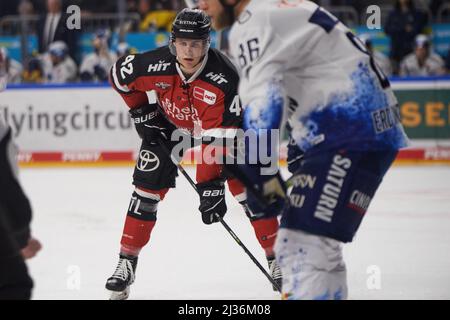 KÖLN, DEUTSCHLAND - 5. APRIL 2022: Eishockey-Play-off-Spiel DEL Kölner Haie - ERC Ingolstadt Stockfoto