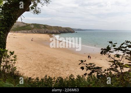 Blick auf die Küste entlang der Küste von Pembrokeshire von Barafundle Bay bis Broad Haven Stockfoto