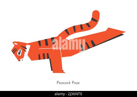 Vector isoliertes Konzept mit Cartoon Tier Charakter Lernen Yoga Praxis - Mayurasana. Koreanischer Tiger tut Pfau Pose. Vereinfachte flache Illustration Stock Vektor