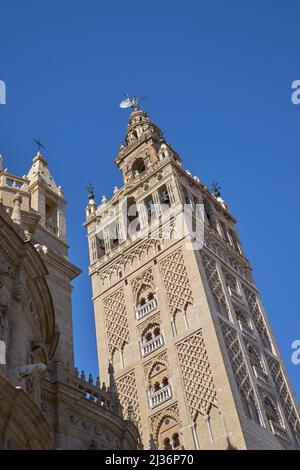 Der Glockenturm der Giralda, Kathedrale, Sevilla, Spanien Stockfoto