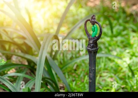 Wasser springer Garten grün Gras Feld Hinterhof Bewässerung systerm Stockfoto