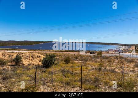 Halbwüstengebiet mit einer großen Arrya von Sonnenkollektoren im Hintergrund. Heller, sonniger Tag mit blauem Himmel Stockfoto
