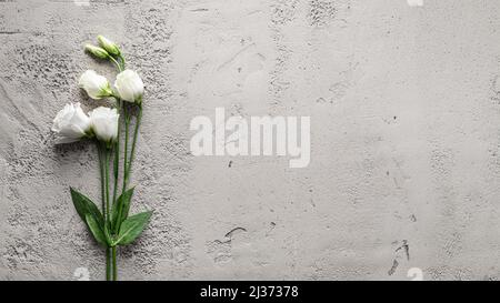 eustoma Blume auf grauem Beton Hintergrund Stockfoto