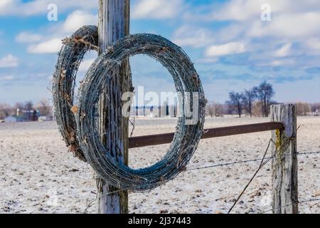 Rolle von Stacheldraht auf einem Zaun nach einem Eissturm in Michigan, USA Stockfoto