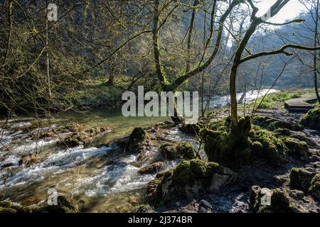 The River Wye in Chee Dale, Peak District National Park, Derbyshire, England Stockfoto