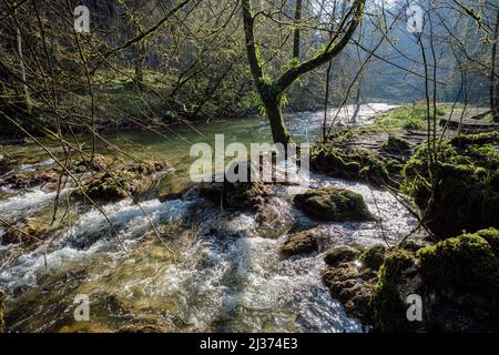 The River Wye in Chee Dale, Peak District National Park, Derbyshire, England Stockfoto