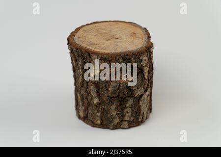 Baumstumpf, geschnittener Baum, isoliert auf weißem Hintergrund, halbgeschnittener Holzstumpf, Holzfrontsicht Stockfoto