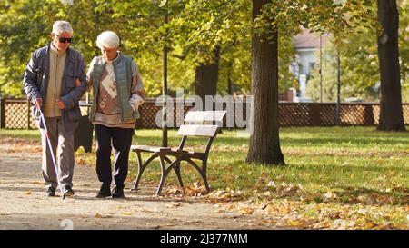 Ältere kaukasische Paar gehen im Park Behinderte Blinde Mann in der Brille verwendet einen Stock und seine Frau hilft ihm zu gehen Behinderte Menschen unterstützen Konzept voller Schuss selektive Fokus Kopie Raum Park Hintergrund . Hochwertige Fotos Stockfoto
