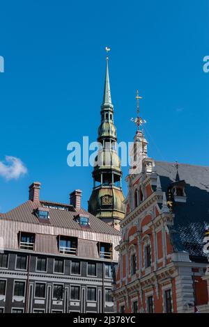 Kirchturm der St. Peter Kirche, hinter dem Haus der Schwarzen Köpfe in Riga, Lettland, mit blauem Himmel im Hintergrund Stockfoto