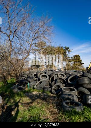 Eine große Anzahl gebrauchter Autoreifen liegt auf dem Gras. LKW kippt alte Altreifen zum Recycling Stockfoto