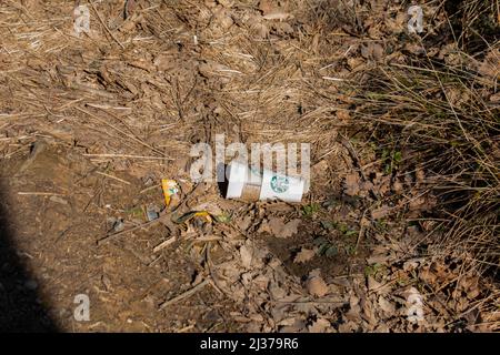 Istanbul, Eyup, Gokturk, 02.04.22, verschwendet Starbucks-Becher in einem Wald, Beispiel für bewusstlose Menschen, Umweltverschmutzung Stockfoto