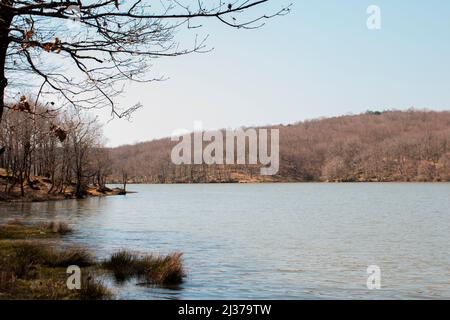 See- und Waldlandschaft, Weitwinkelansicht, Herbstlandschaft, Freiluft-Szene des Gokturk Pond Nature Park, Türkei, Istanbul, Schönheit der Waldnatur und des Sees Stockfoto