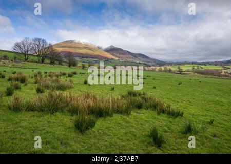 Eine schneebedeckte Blencathra oder Saddleback fiel im English Lake District National Park in der Nähe von Keswick, Cumbria, England. Stockfoto