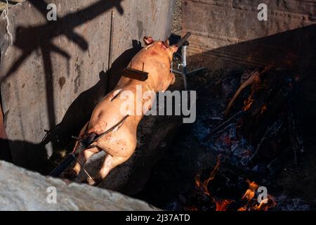 Rotisserie oder Spieß-Braten Schwein, Schweinefleisch auf Spieß gebraten, serbische traditionelle Lebensmittel für Weihnachten Stockfoto