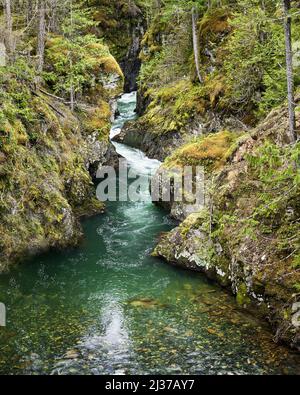 Kühles, grünes Wasser, das durch einen schmalen Bergschlucht in einem pazifischen Nordwestwald stürzt. Stockfoto