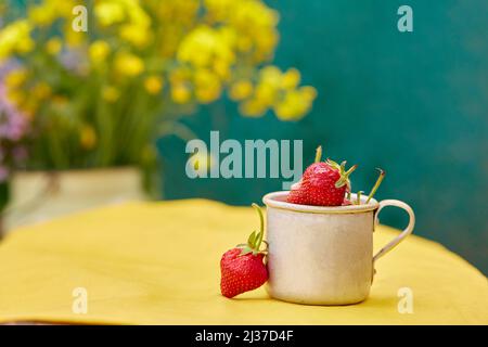 Erdbeeren in einem Reisetasse aus Metall-Aluminium. Grüner und gelber Frühlingshintergrund. Cottagecore Ästhetik Konzept, trendige Schatten Hintergrund. Speicherplatz kopieren Stockfoto