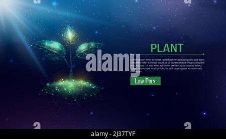 Pflanze sprießt. Wachsende Pflanze im low-poly Drahtmodell Stil. Abstrakte moderne 3D Vektor-Illustration auf dunkelblauem Hintergrund. Stock Vektor