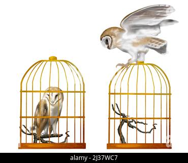 Aquarell Set fliegende Eule Scheune Eule. Eine realistische Illustration einer Eule. Weißer Vogel mit beigen Flügeln und Kopf Nachtvögel Stockfoto