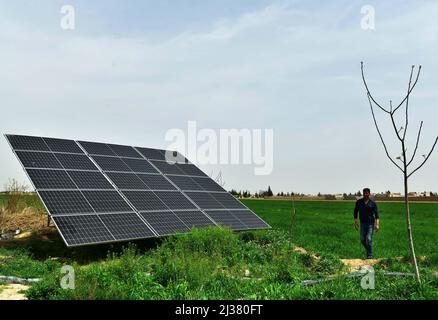 Damaskus, Syrien. 5. April 2022. Sonnenkollektoren werden am 5. April 2022 auf einem Bauernhof in der östlichen Landschaft von Damaskus, Syrien, gesehen. Die lokalen Bauern haben wegen des Strommangels im Land auf saubere alternative Energie zurückgegriffen. Quelle: Ammar Safarjalani/Xinhua/Alamy Live News Stockfoto