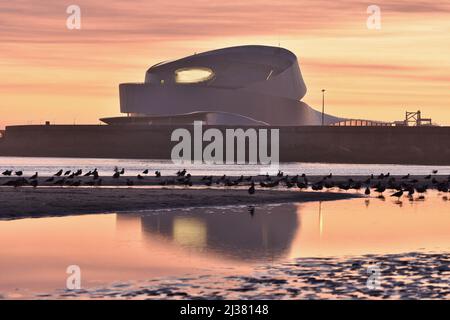 Leixões Cruise Terminal modernes Gebäude, Schwarm von Möwen am Strand Praia de Matosinhos in der Abenddämmerung in Porto Portugal. Stockfoto