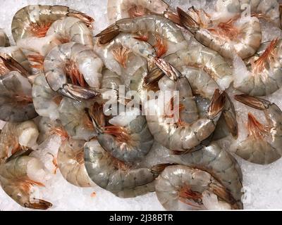 Rohe Garnelen auf dem Fischmarkt Stockfoto