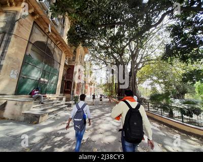 (4/4/2022) die Regierung DER NEW UP hat die landesweite „Schule Chalo Abhiyan“ ins Leben gerufen, um die verlorene Studie der letzten beiden Sitzungen aufgrund der Corona-Pandemie in Uttar Pradesh, Indien, zu vertuschen. Die Universität Allahabad ist eine zentrale Universität des Kollegiums in Prayagraj, Uttar Pradesh, Indien. Es wurde am 23. September 1887 durch ein Gesetz des Parlaments gegründet und ist als Institut von nationaler Bedeutung (INI) anerkannt. Es ist eine der ältesten modernen Universitäten in Indien. Seine Ursprünge liegen im Muir Central College, benannt nach dem LT. Gouverneur der nordwestlichen Provinzen, Sir William Muir im Jahr 1876, der den ausweis vorgeschlagen hatte Stockfoto