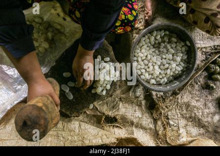 Bogor, Indonesien. 05. April 2022. Eine Frau, die am 6. April eine Zuckerpalmfrucht namens Kolang Kaling in Rumpin, Bogor, West-Java, Indonesien, anstellt, 2022. Die Palmzucker-Frucht ist eine der beliebtesten Vorspeisen und wird während des heiligen muslimischen Monats Ramadan wegen ihres hohen Zuckergehalts leicht gefunden. (Foto von Andi M Ridwan/INA Photo Agency/Sipa USA) Quelle: SIPA USA/Alamy Live News Stockfoto