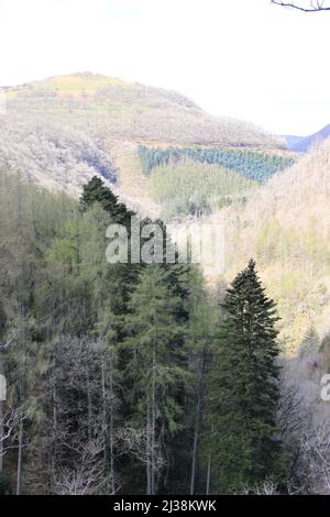 Devil's Bridge Falls, Aberystwyth - eine spektakuläre Wasserfall-Attraktion und Naturlehrpfad im Herzen der walisischen Cambrian Mountains - Großbritannien, PETER GRANT Stockfoto