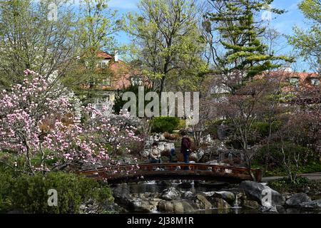 Wien, Österreich. 06. April 2022. Setagayapark in Wien. Der Setagaya Park wurde 1992 vom Landschaftsgärtner Ken Nakajima aus Japan entworfen Stockfoto