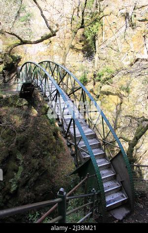 Devil's Bridge Falls, Aberystwyth - eine spektakuläre Wasserfall-Attraktion und Naturlehrpfad im Herzen der walisischen Cambrian Mountains - Großbritannien, PETER GRANT Stockfoto