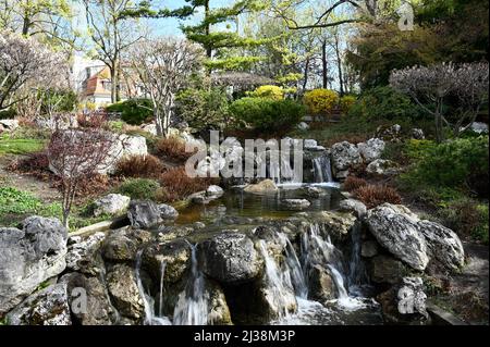 Wien, Österreich. 06. April 2022. Setagayapark in Wien. Der Setagaya Park wurde 1992 vom Landschaftsgärtner Ken Nakajima aus Japan entworfen Stockfoto