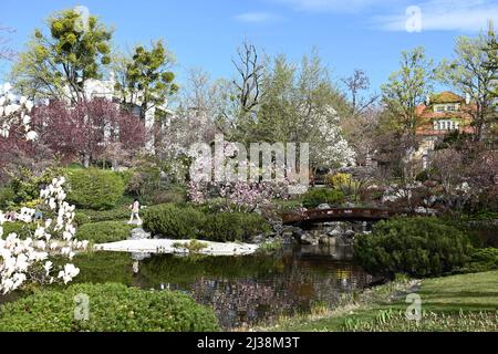 Wien, Österreich. 06. April 2022. Setagayapark in Wien. Der Setagaya Park wurde 1992 vom Landschaftsgärtner Ken Nakajima aus Japan entworfen Stockfoto