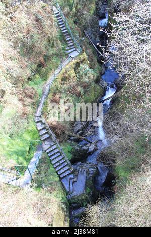 Devil's Bridge Falls, Aberystwyth - eine spektakuläre Wasserfall-Attraktion und Naturlehrpfad im Herzen der walisischen Cambrian Mountains - Großbritannien, PETER GRANT Stockfoto